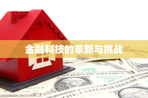 麻江金融科技的革新与挑战