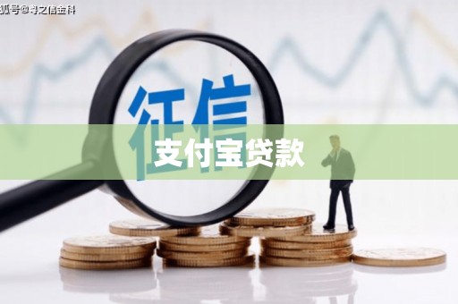 驻马店支付宝贷款