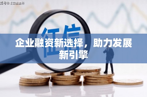 大武口企业融资新选择，助力发展新引擎