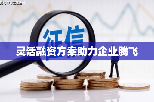 简阳灵活融资方案助力企业腾飞
