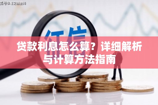 鸟松贷款利息怎么算？详细解析与计算方法指南