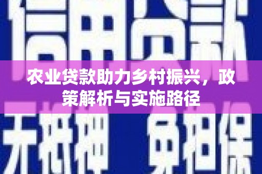 利辛农业贷款助力乡村振兴，政策解析与实施路径