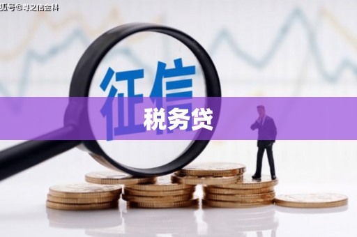 行唐税务贷
