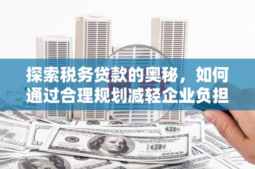 乡城探索税务贷款的奥秘，如何通过合理规划减轻企业负担