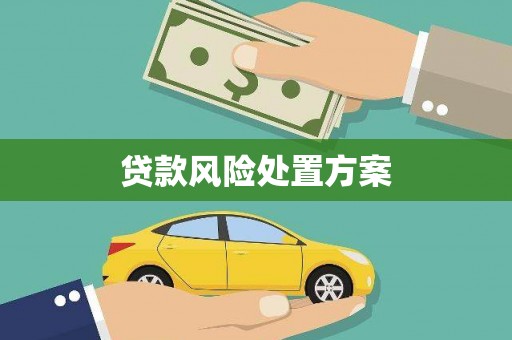 二水贷款风险处置方案