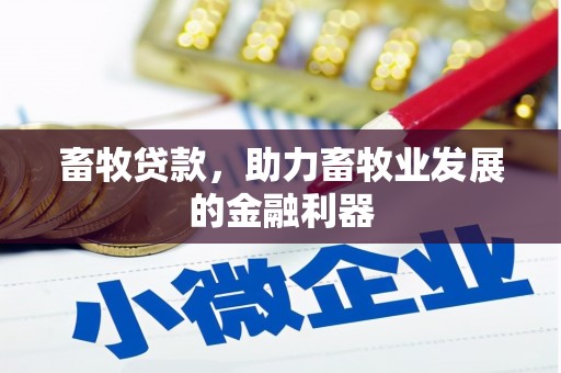 龙子湖畜牧贷款，助力畜牧业发展的金融利器