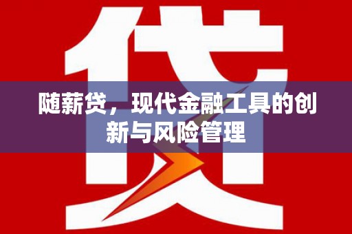 舟曲随薪贷，现代金融工具的创新与风险管理