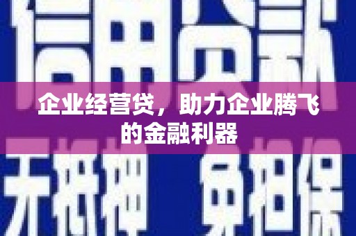 谯城企业经营贷，助力企业腾飞的金融利器