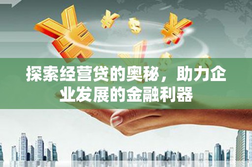 阿莲探索经营贷的奥秘，助力企业发展的金融利器