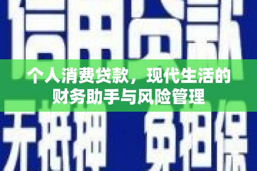 沙坡头个人消费贷款，现代生活的财务助手与风险管理