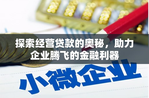 清流探索经营贷款的奥秘，助力企业腾飞的金融利器