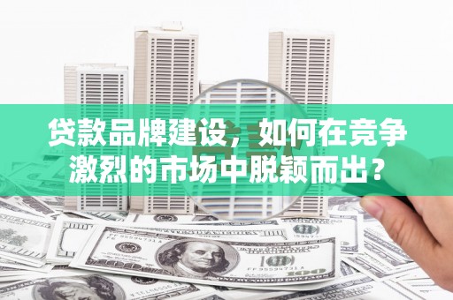 双柏贷款品牌建设，如何在竞争激烈的市场中脱颖而出？