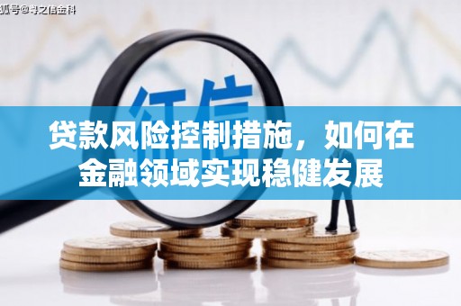 志丹贷款风险控制措施，如何在金融领域实现稳健发展