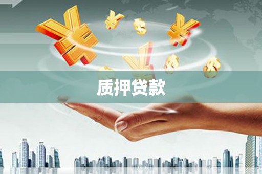陇南质押贷款