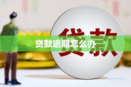 东势贷款逾期怎么办