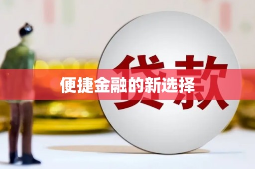 毕节便捷金融的新选择