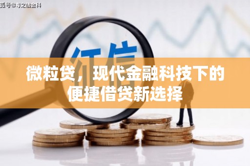洪江微粒贷，现代金融科技下的便捷借贷新选择
