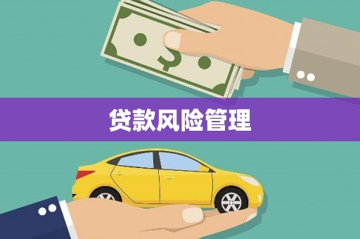 福贡贷款风险管理