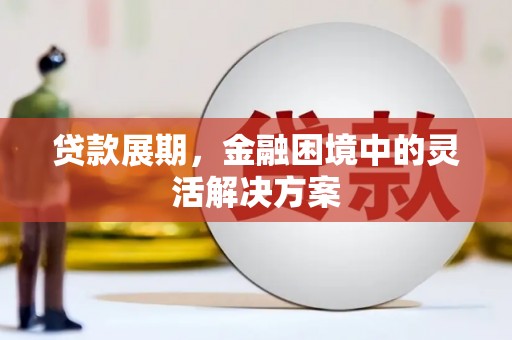 林甸贷款展期，金融困境中的灵活解决方案