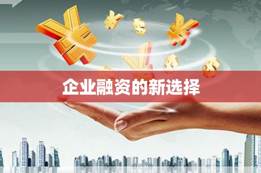西畴企业融资的新选择