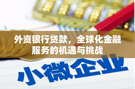 郁南外资银行贷款，全球化金融服务的机遇与挑战
