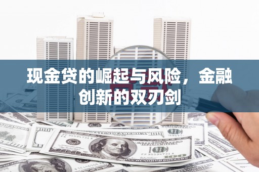 平舆现金贷的崛起与风险，金融创新的双刃剑