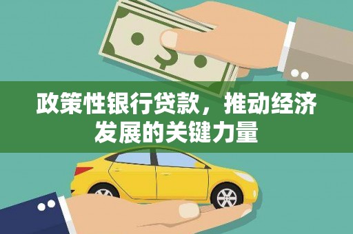 市中区政策性银行贷款，推动经济发展的关键力量