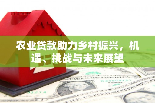 将乐农业贷款助力乡村振兴，机遇、挑战与未来展望