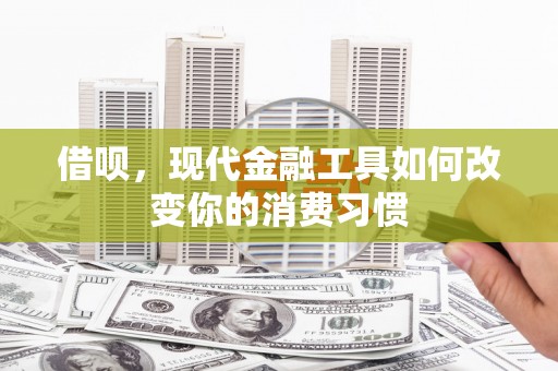 丰滨借呗，现代金融工具如何改变你的消费习惯