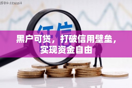 献县黑户可贷，打破信用壁垒，实现资金自由