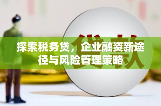 浠水探索税务贷，企业融资新途径与风险管理策略