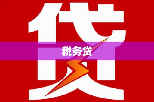 泾县税务贷