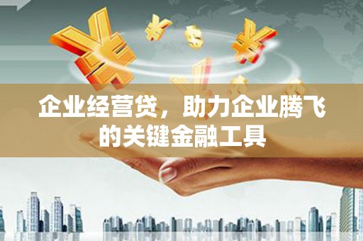 临邑企业经营贷，助力企业腾飞的关键金融工具