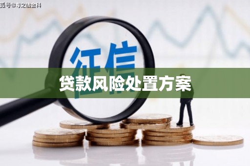 普格贷款风险处置方案