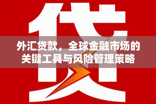 罗田外汇贷款，全球金融市场的关键工具与风险管理策略