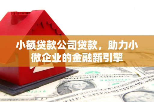 扎赉特旗小额贷款公司贷款，助力小微企业的金融新引擎