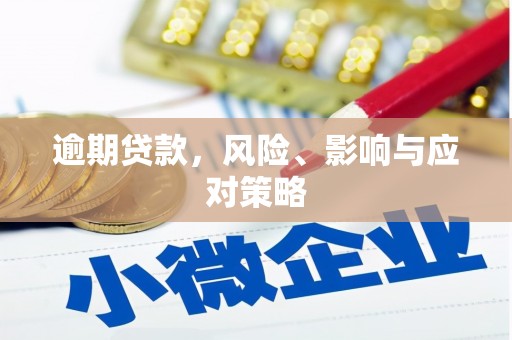平陆逾期贷款，风险、影响与应对策略