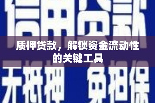 顺昌质押贷款，解锁资金流动性的关键工具