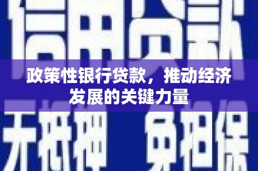 浑江政策性银行贷款，推动经济发展的关键力量