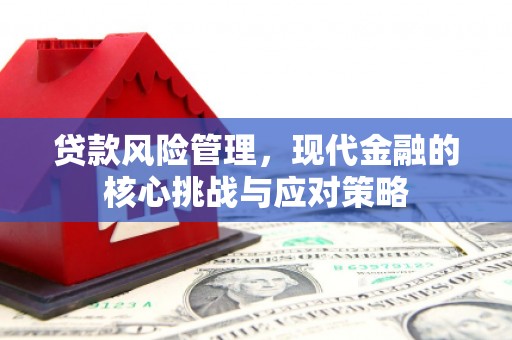 类乌齐贷款风险管理，现代金融的核心挑战与应对策略