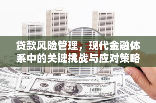 金城贷款风险管理，现代金融体系中的关键挑战与应对策略