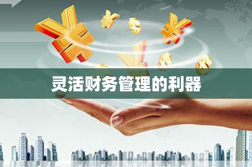 江永灵活财务管理的利器