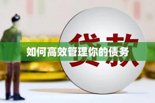 潍坊如何高效管理你的债务