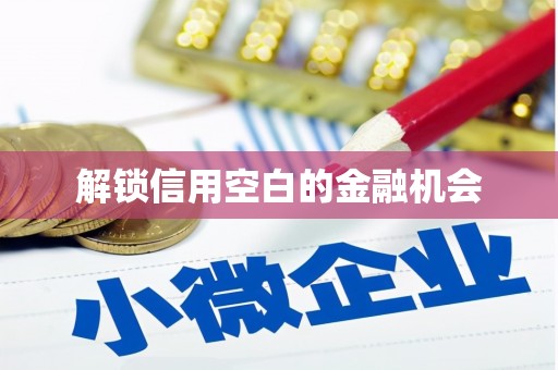 江南解锁信用空白的金融机会