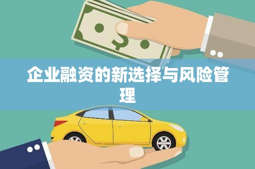屯溪企业融资的新选择与风险管理