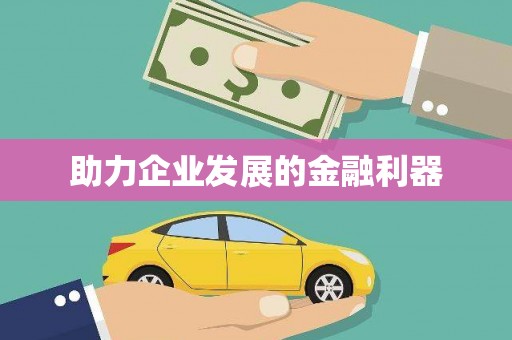巴塘助力企业发展的金融利器