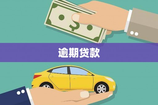 米林逾期贷款