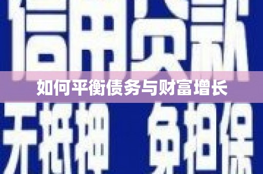 阿莲如何平衡债务与财富增长